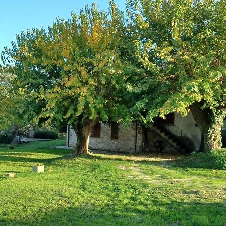 Agriturismo Canonici Amelia Εξωτερικό φωτογραφία